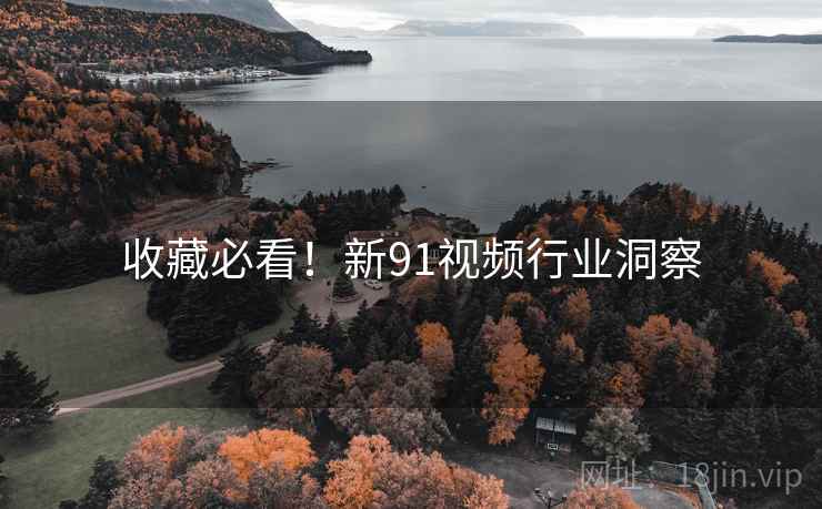收藏必看！新91视频行业洞察