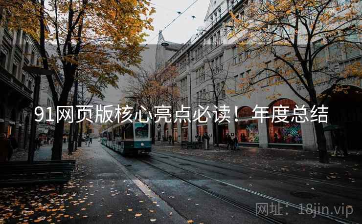 91网页版核心亮点必读！年度总结