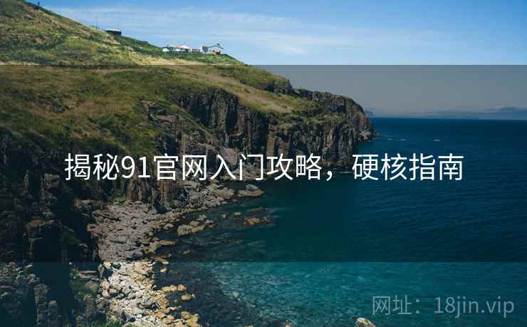 揭秘91官网入门攻略，硬核指南