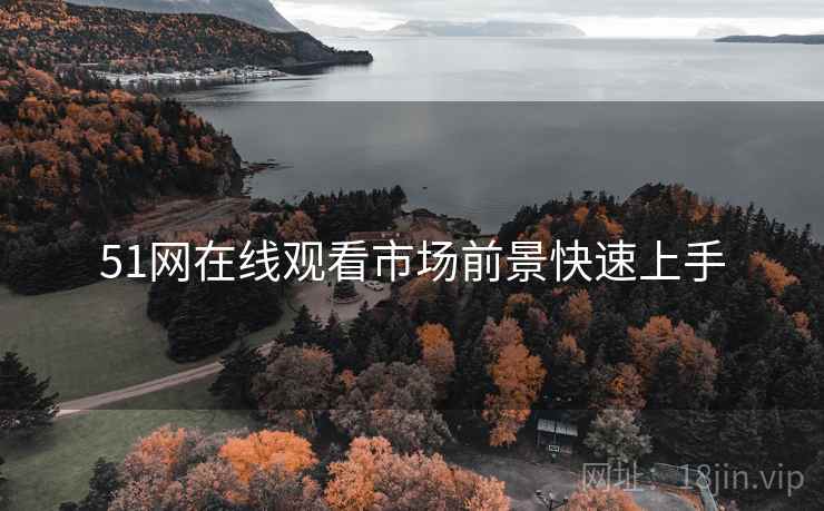 51网在线观看市场前景快速上手