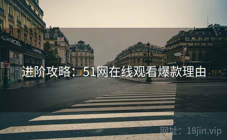 进阶攻略：51网在线观看爆款理由