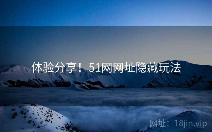 体验分享！51网网址隐藏玩法