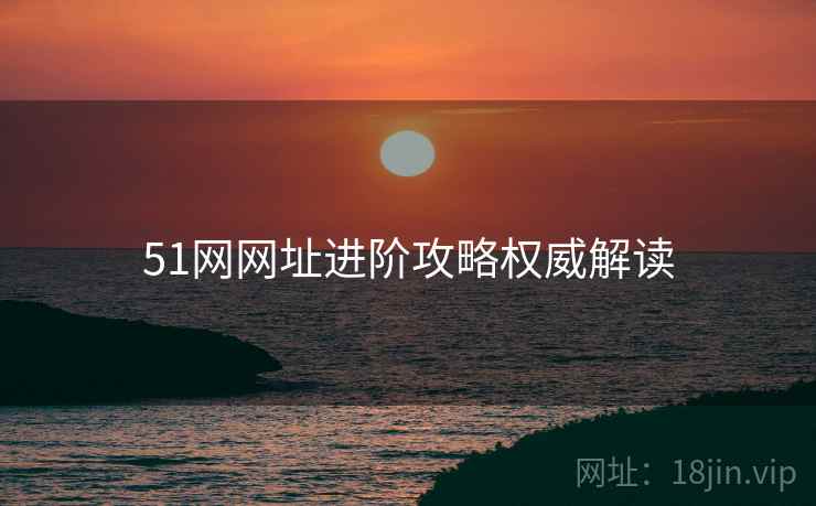 51网网址进阶攻略权威解读