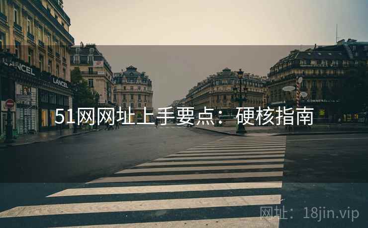 51网网址上手要点：硬核指南