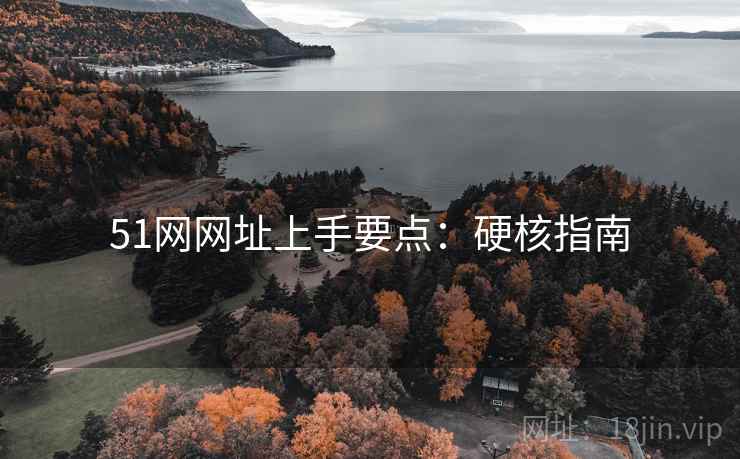 51网网址上手要点：硬核指南