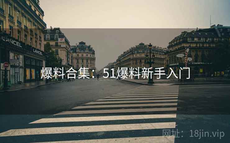 爆料合集：51爆料新手入门