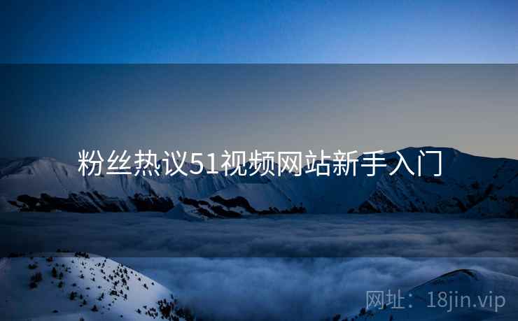 粉丝热议51视频网站新手入门