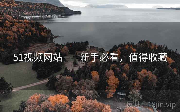 51视频网站——新手必看，值得收藏