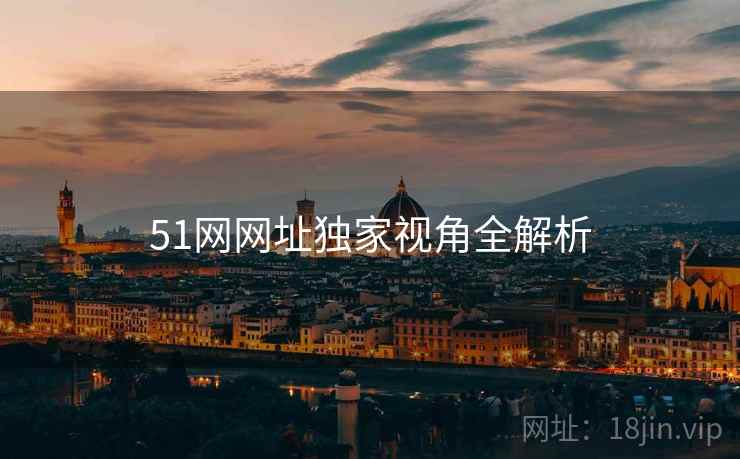 51网网址独家视角全解析