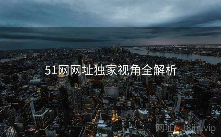 51网网址独家视角全解析