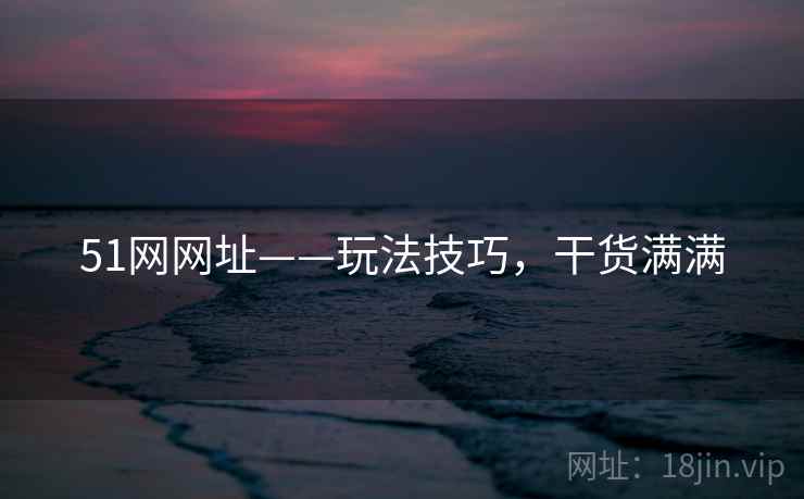 51网网址——玩法技巧，干货满满