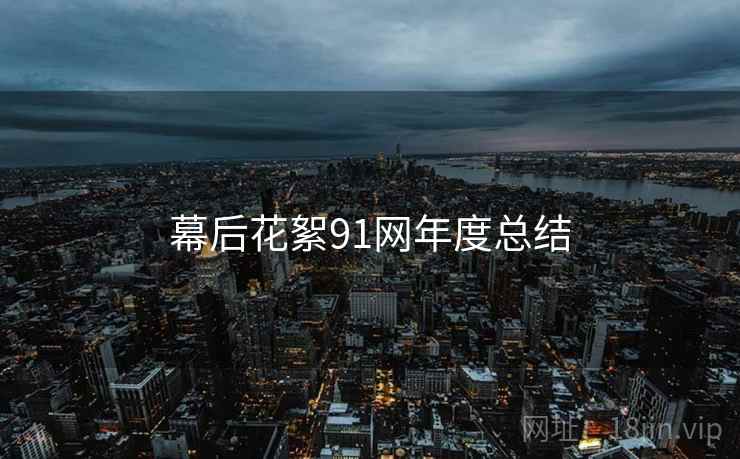 幕后花絮91网年度总结