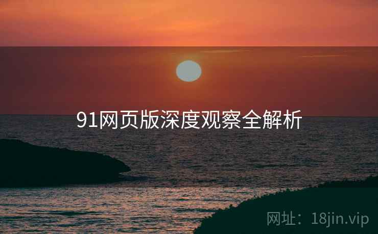 91网页版深度观察全解析