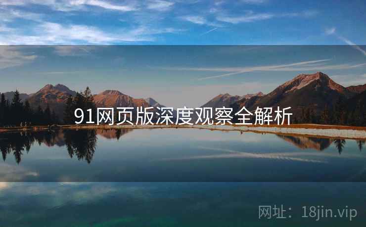 91网页版深度观察全解析