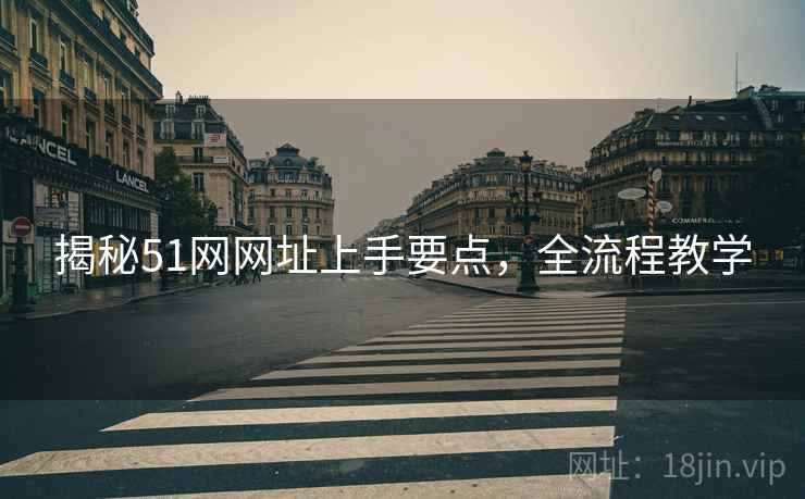 揭秘51网网址上手要点，全流程教学
