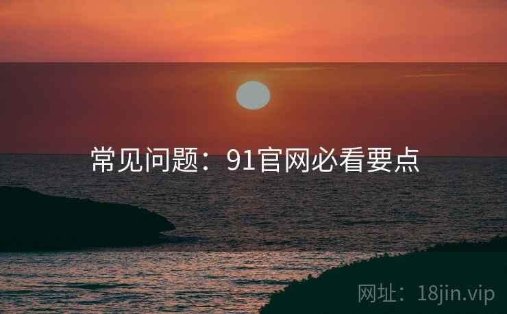 常见问题：91官网必看要点