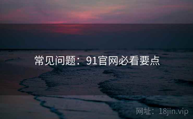 常见问题：91官网必看要点