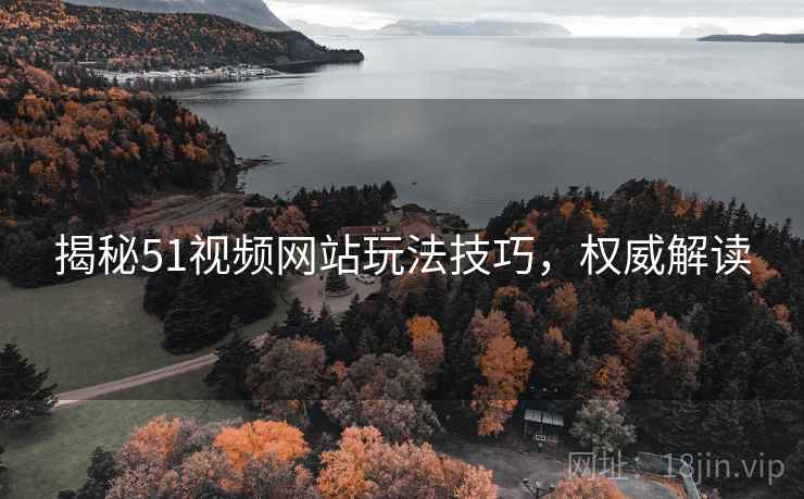揭秘51视频网站玩法技巧，权威解读