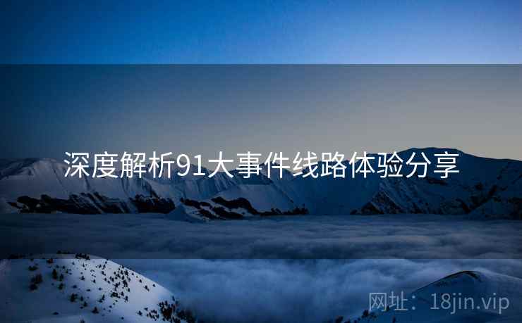 深度解析91大事件线路体验分享